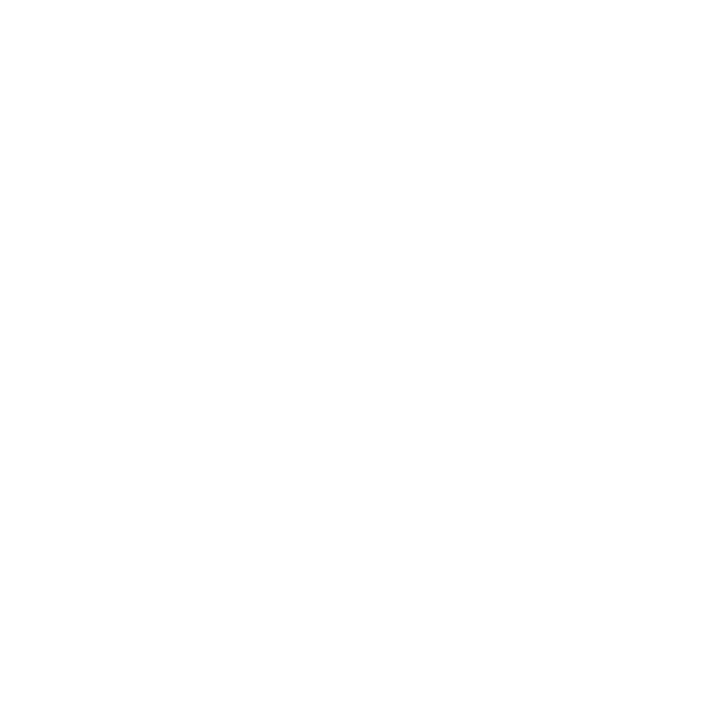 David’s Auto Sales Moultrie